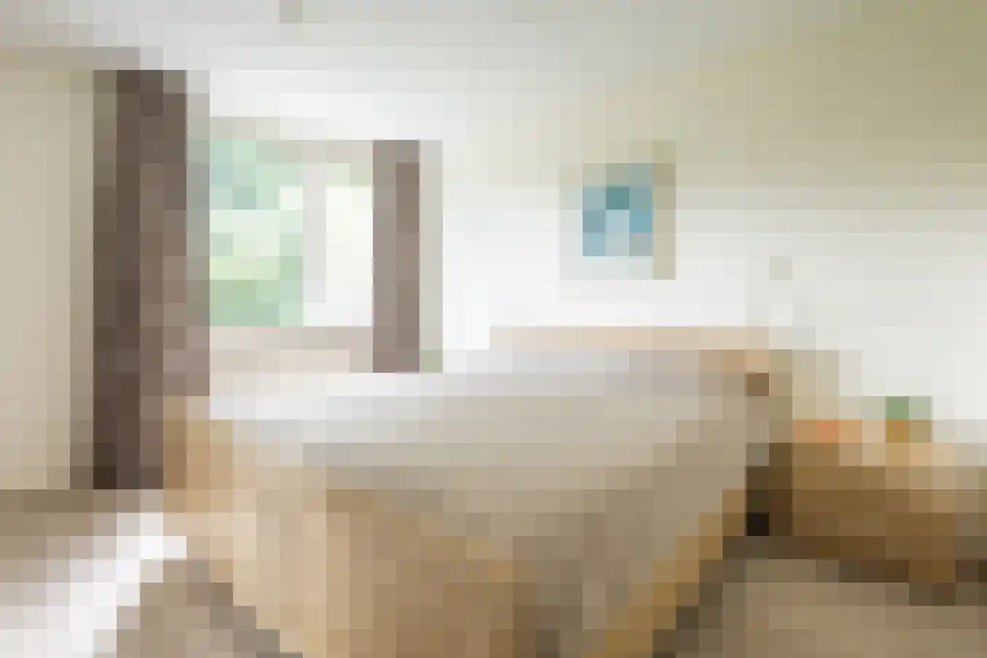 Geulstraat 19 Terneuzen thumbnail 14