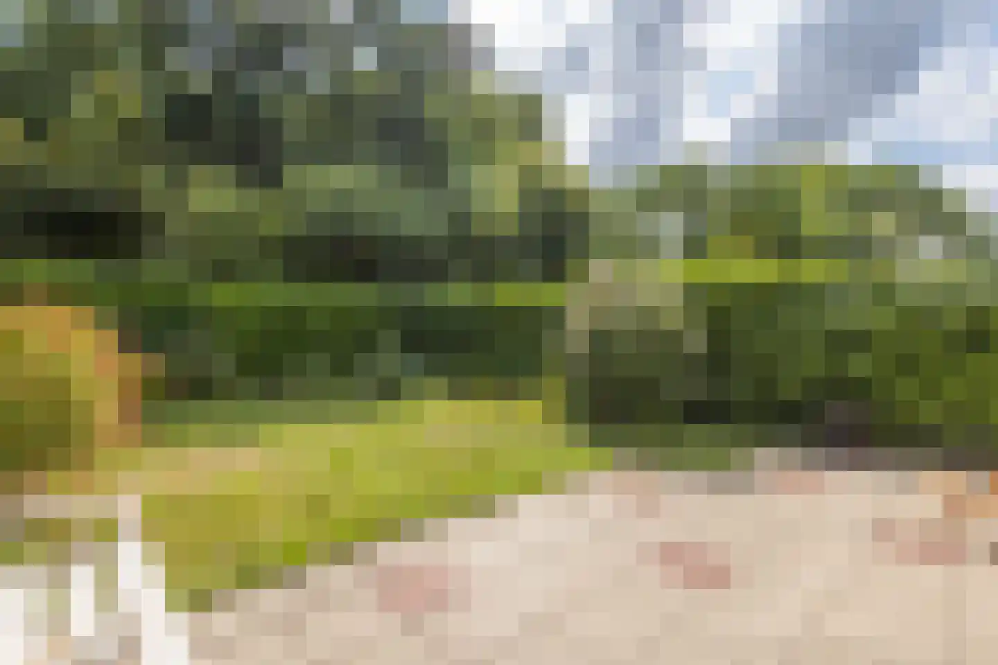 Geulstraat 19 Terneuzen thumbnail 27