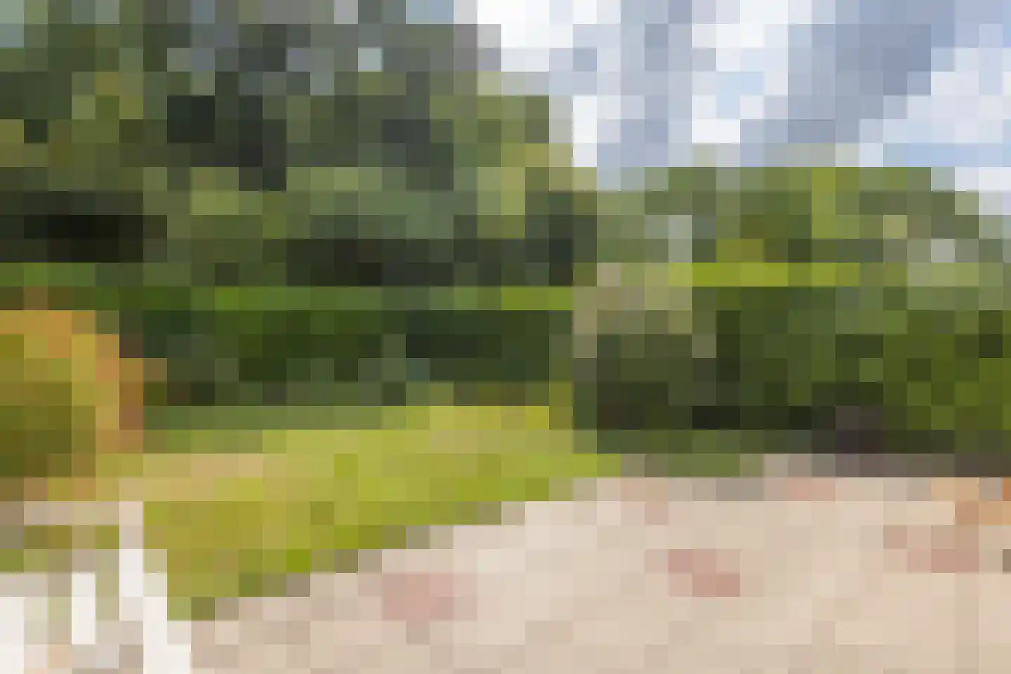 Geulstraat 19 Terneuzen thumbnail 4