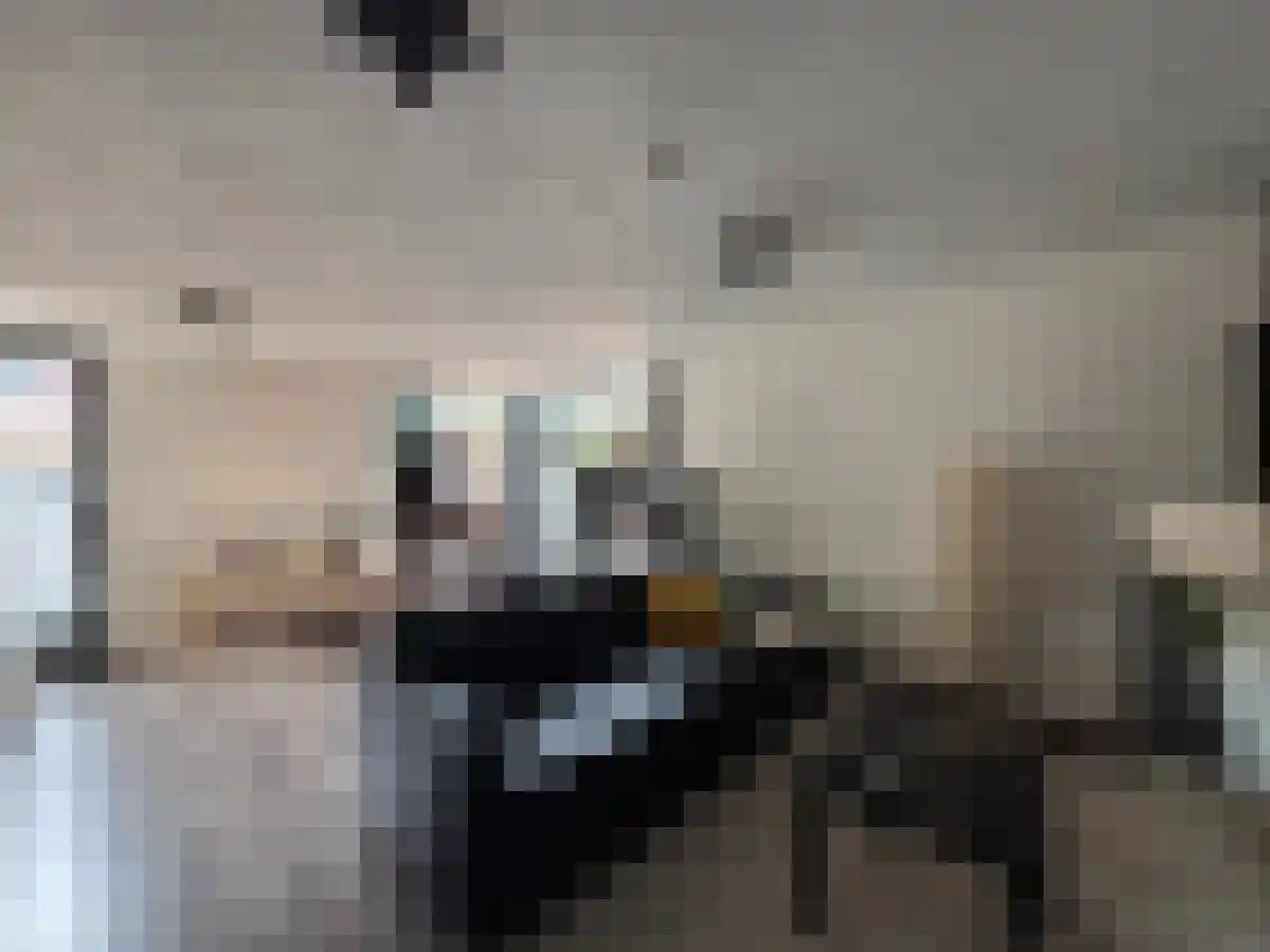 Geulstraat 2 Groningen thumbnail 5