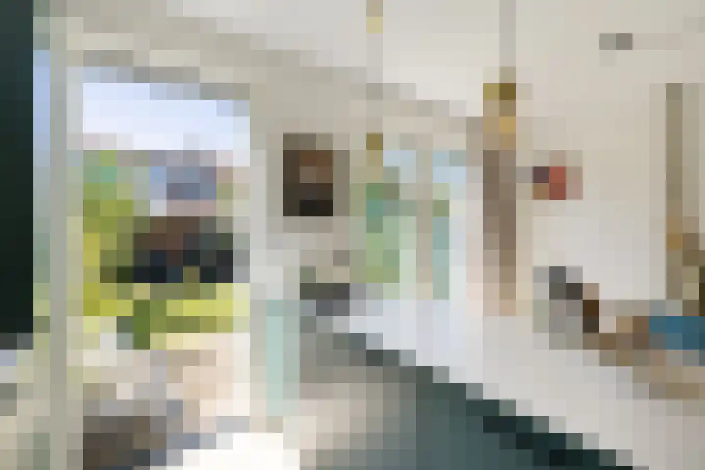 Geulstraat 21 Utrecht thumbnail 11