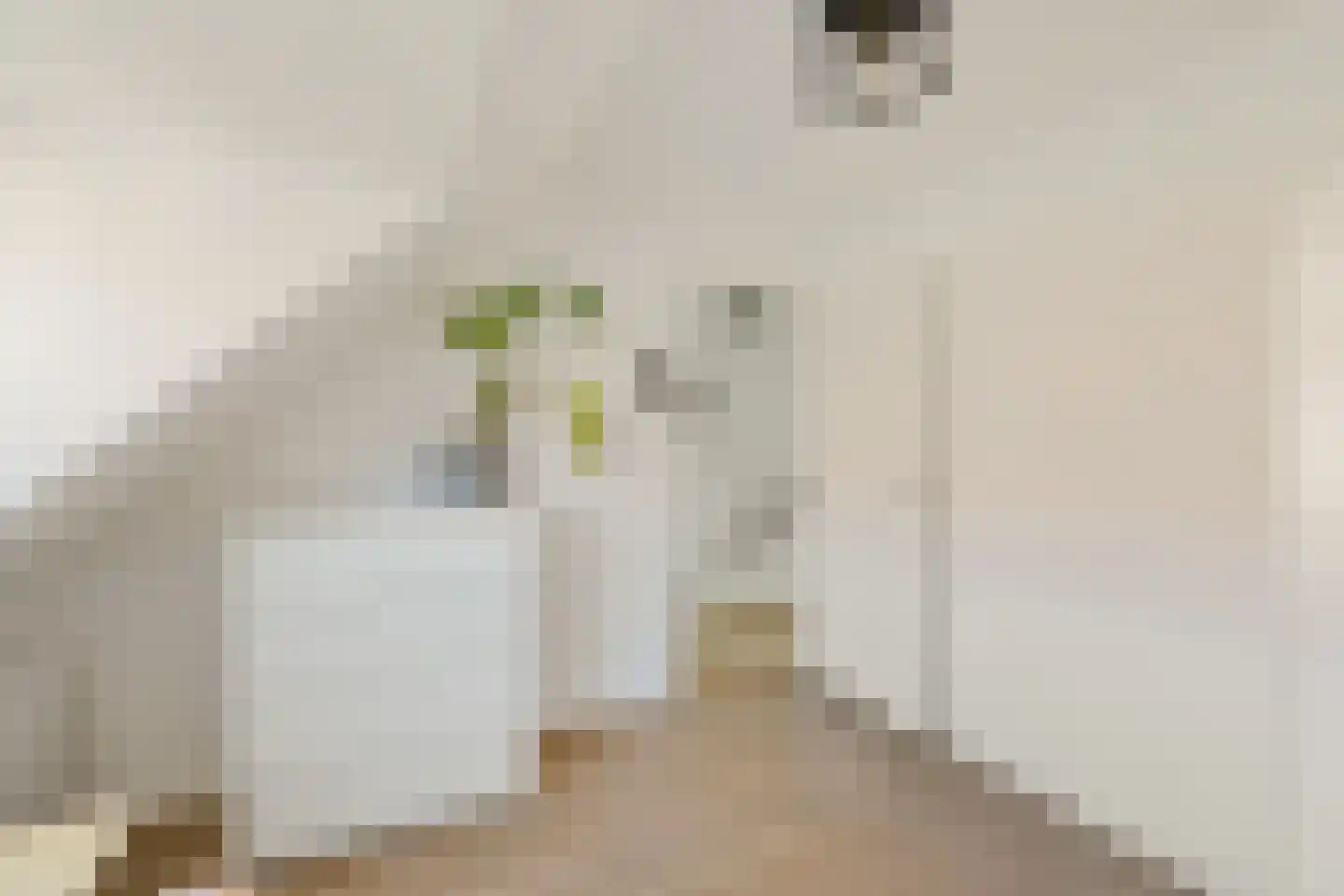 Geulstraat 21 Utrecht thumbnail 24