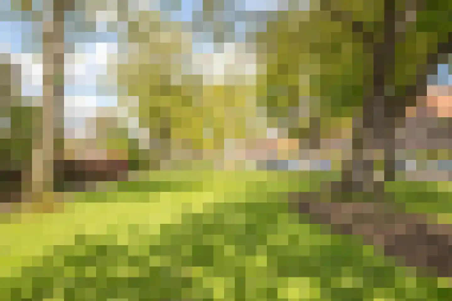 Geulstraat 21 Utrecht thumbnail 36
