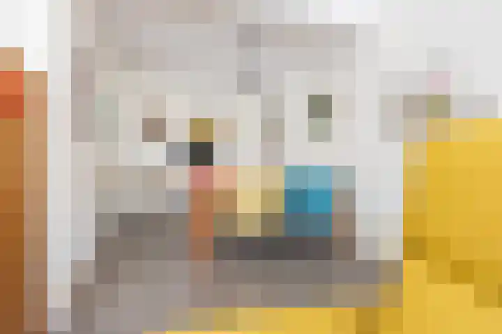 Geulstraat 23 Ulft thumbnail 15