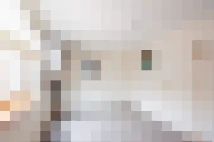 Geulstraat 23 Ulft thumbnail 20