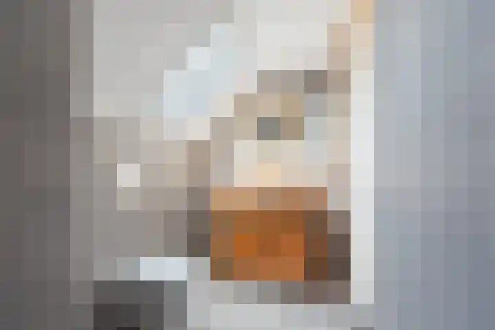 Geulstraat 23 Ulft thumbnail 27
