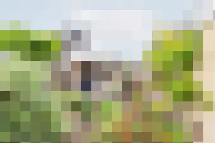 Geulstraat 23 Ulft thumbnail 33