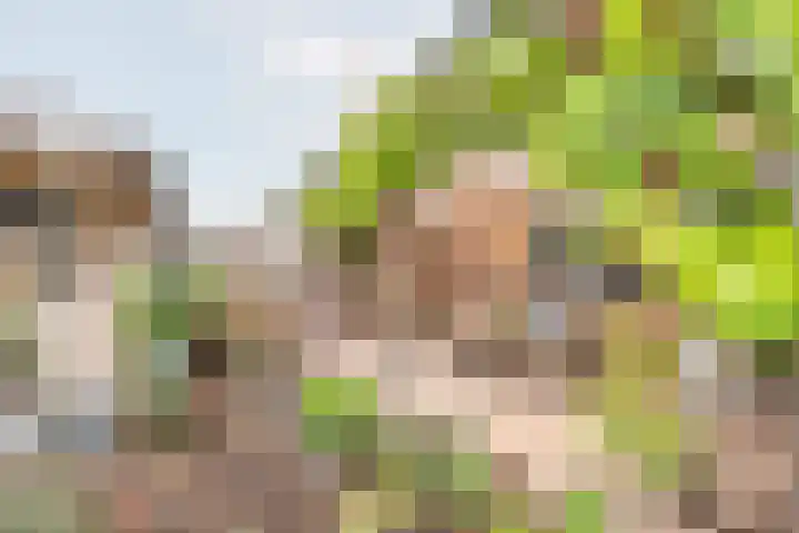 Geulstraat 23 Ulft thumbnail 35
