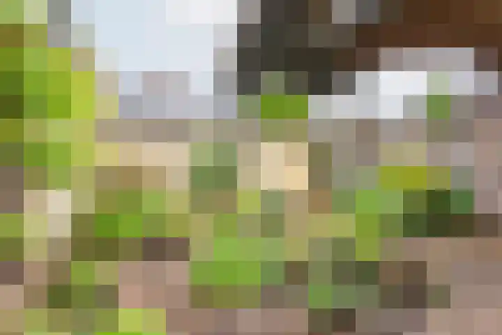 Geulstraat 23 Ulft thumbnail 37