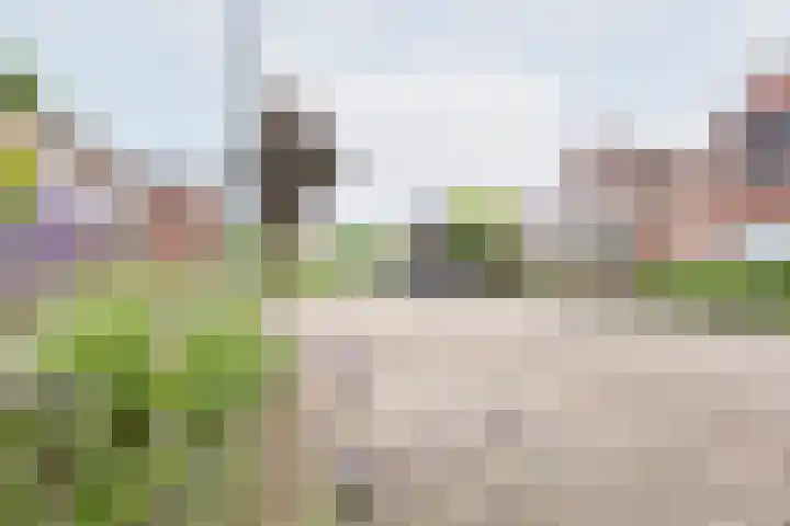 Geulstraat 23 Ulft thumbnail 39