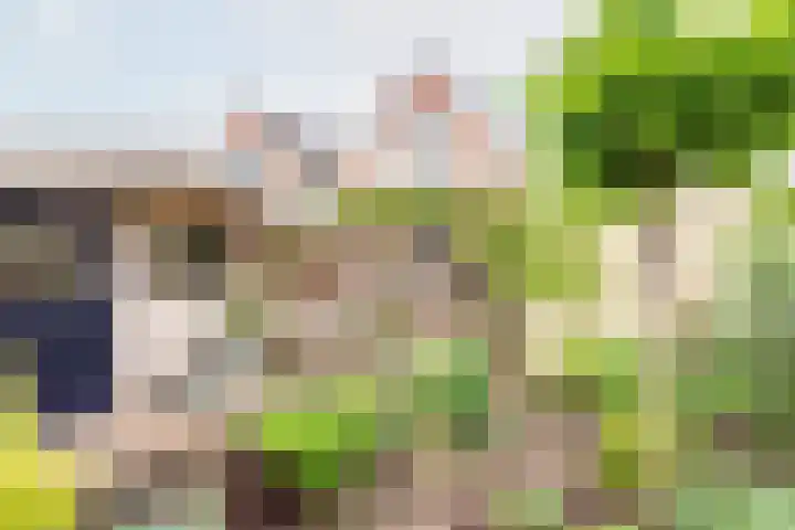 Geulstraat 23 Ulft thumbnail 4