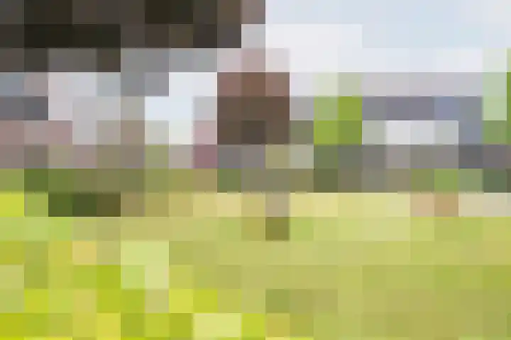 Geulstraat 23 Ulft thumbnail 40