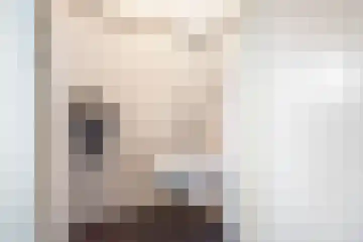 Geulstraat 23 Ulft thumbnail 9