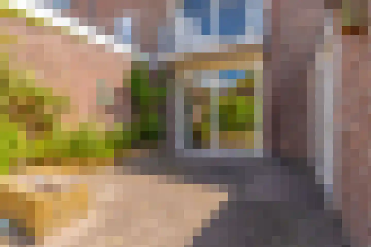 Geulstraat 24 Nijmegen thumbnail 18