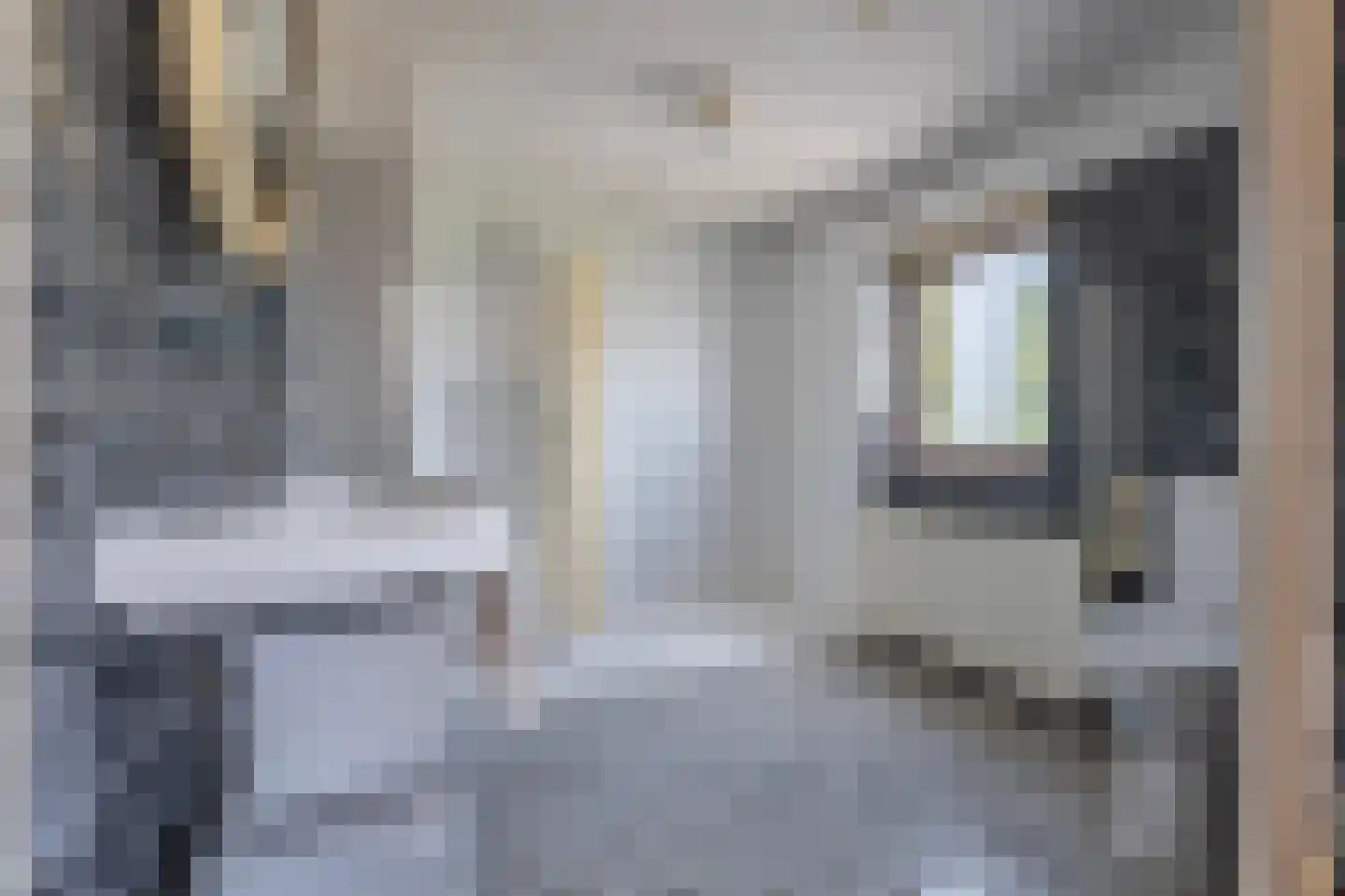Geulstraat 24 Nijmegen thumbnail 30