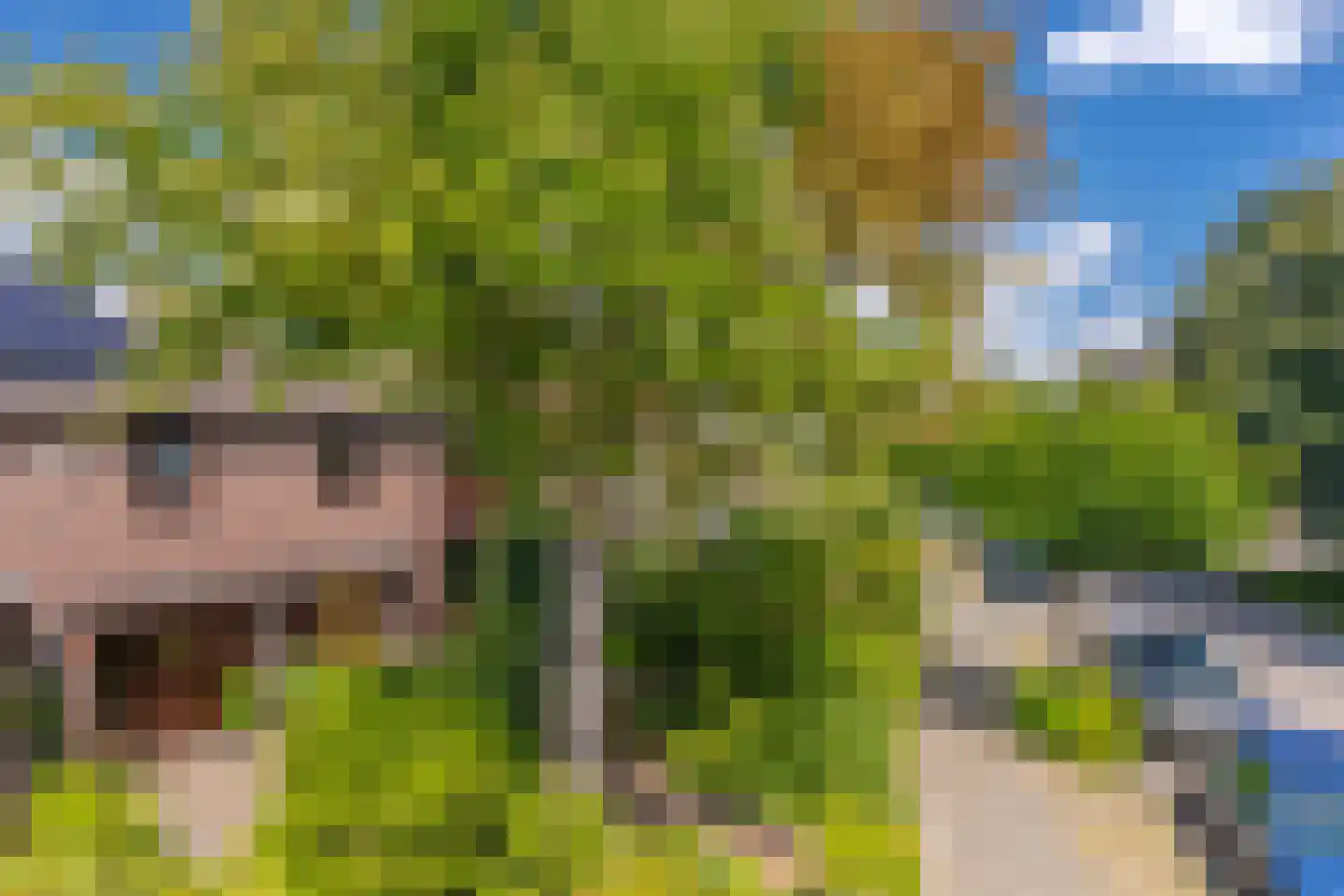 Geulstraat 24 Nijmegen thumbnail 5