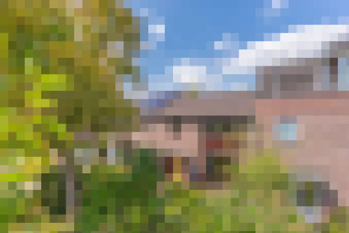Geulstraat 24 Nijmegen thumbnail 6