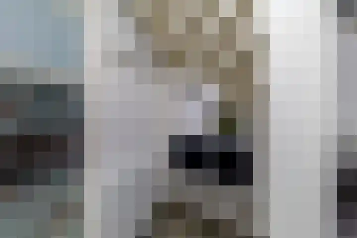 Geulstraat 30 Ulft thumbnail 12