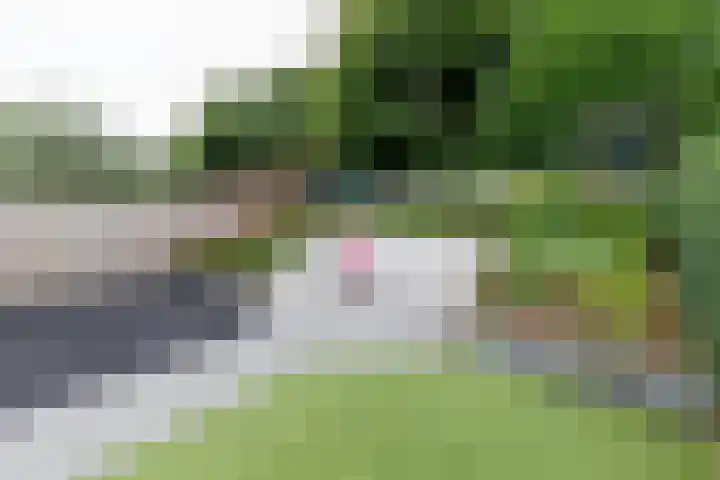 Geulstraat 30 Ulft thumbnail 40