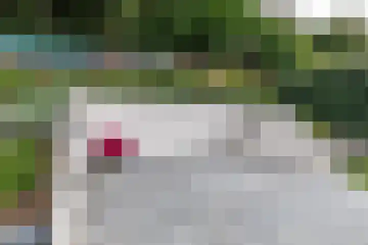 Geulstraat 30 Ulft thumbnail 42