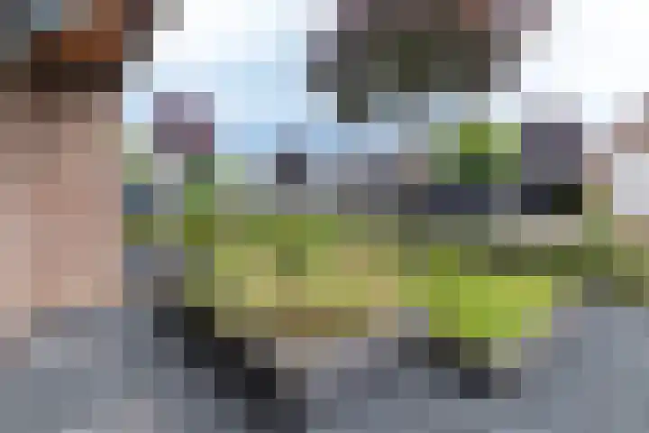 Geulstraat 30 Ulft thumbnail 6