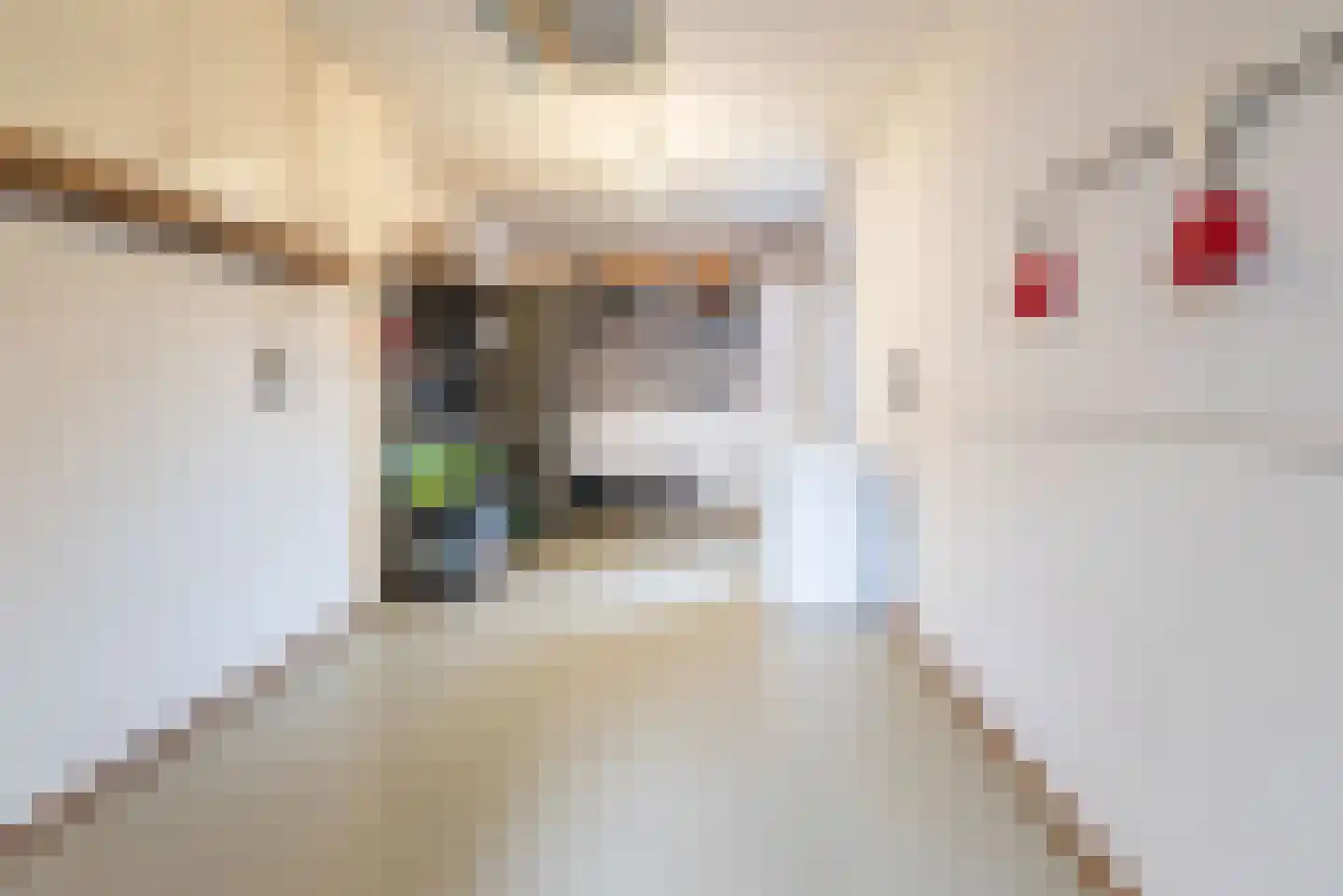 Geulstraat 35 Ulft thumbnail 15