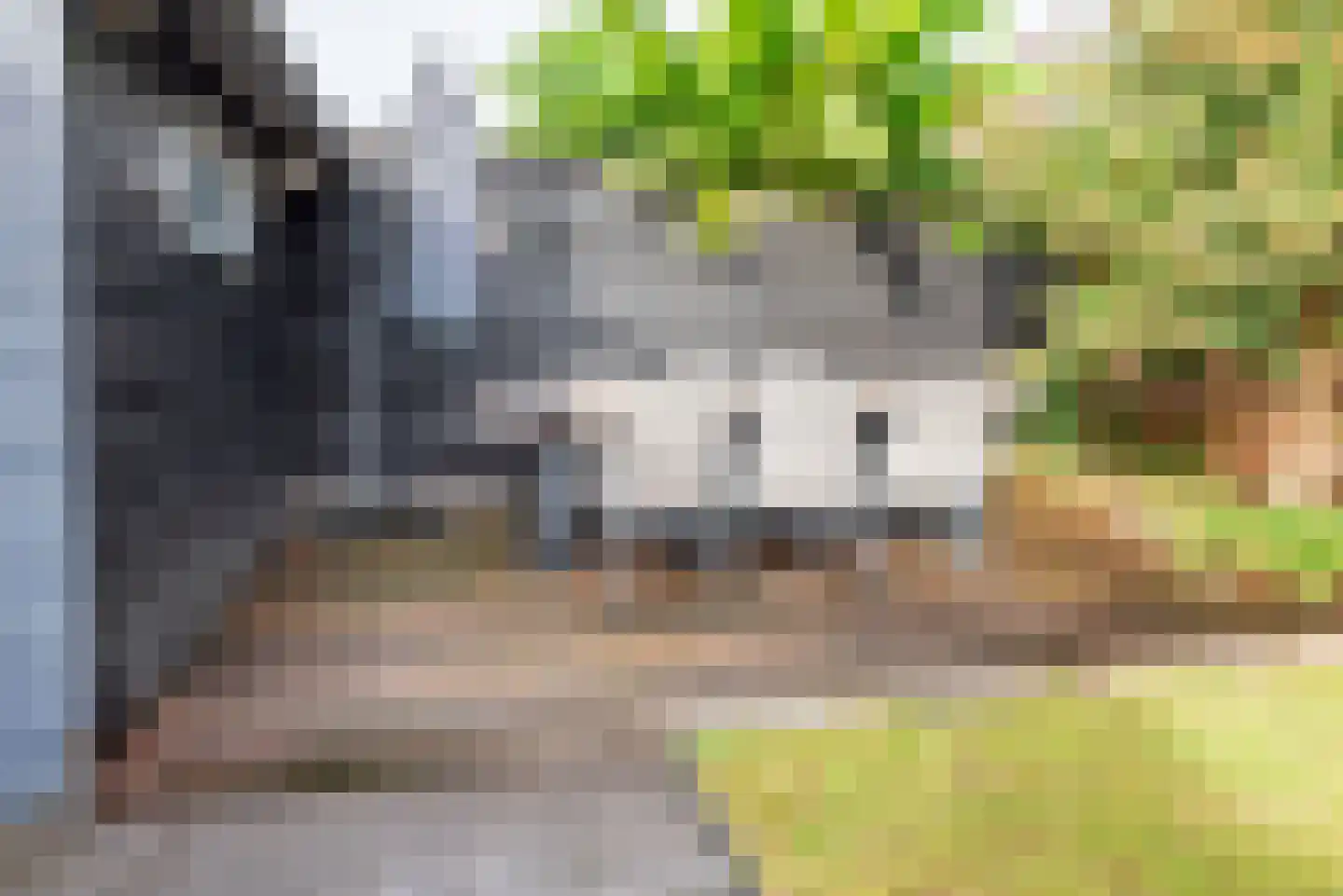 Geulstraat 35 Ulft thumbnail 30