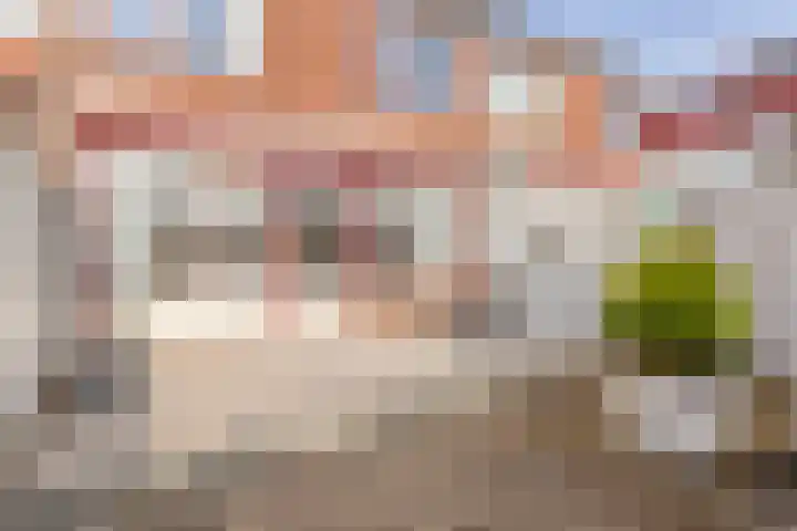Geulstraat 4 Terneuzen thumbnail 35