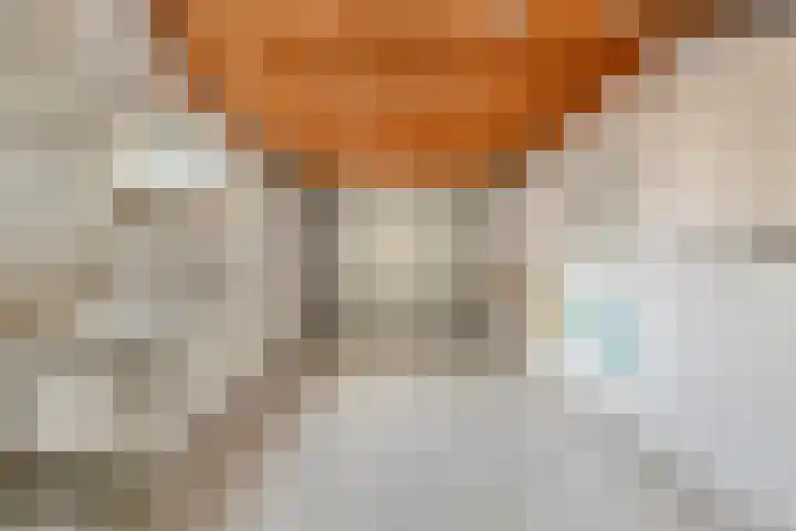 Geulstraat 4 Terneuzen thumbnail 38