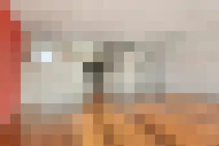 Geulstraat 4 Terneuzen thumbnail 7