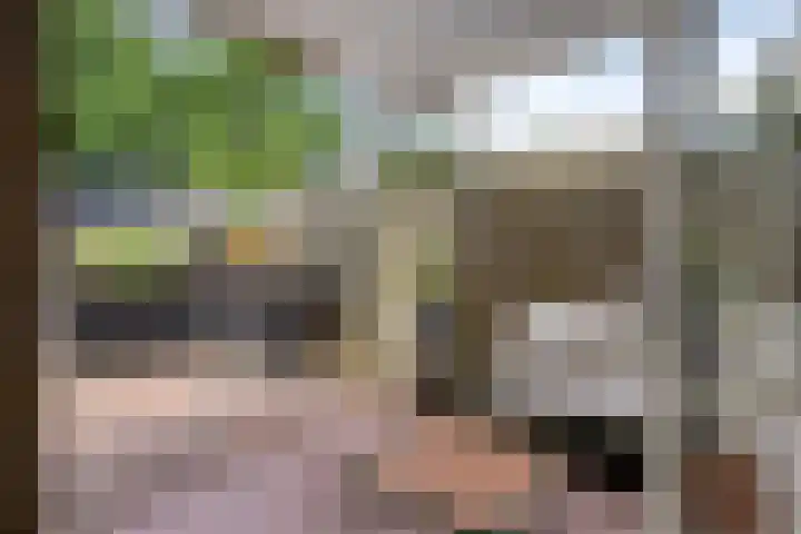 Geulstraat 47 Veghel thumbnail 26