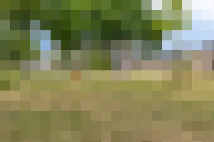 Geulstraat 47 Veghel thumbnail 33