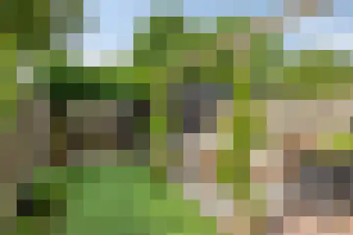 Geulstraat 47 Veghel thumbnail 4