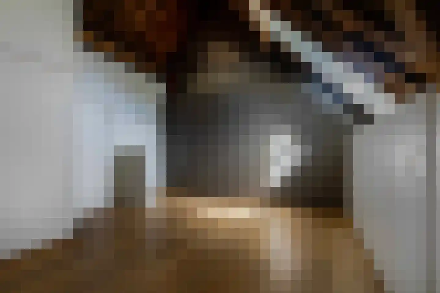 Geulstraat 53 a Bunde thumbnail 36