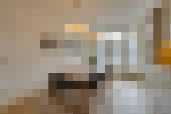 Geulstraat 7 A 2 Amsterdam thumbnail 28