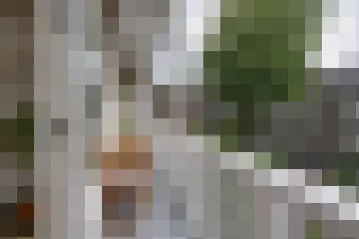 Geulstraat 7 A 2 Amsterdam thumbnail 33