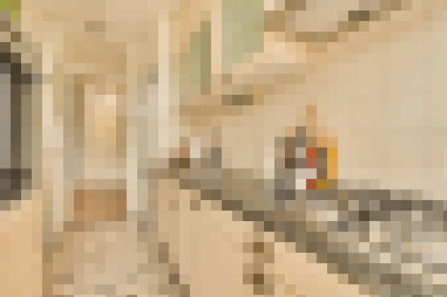 Geulstraat 7 A 3 Amsterdam thumbnail 23