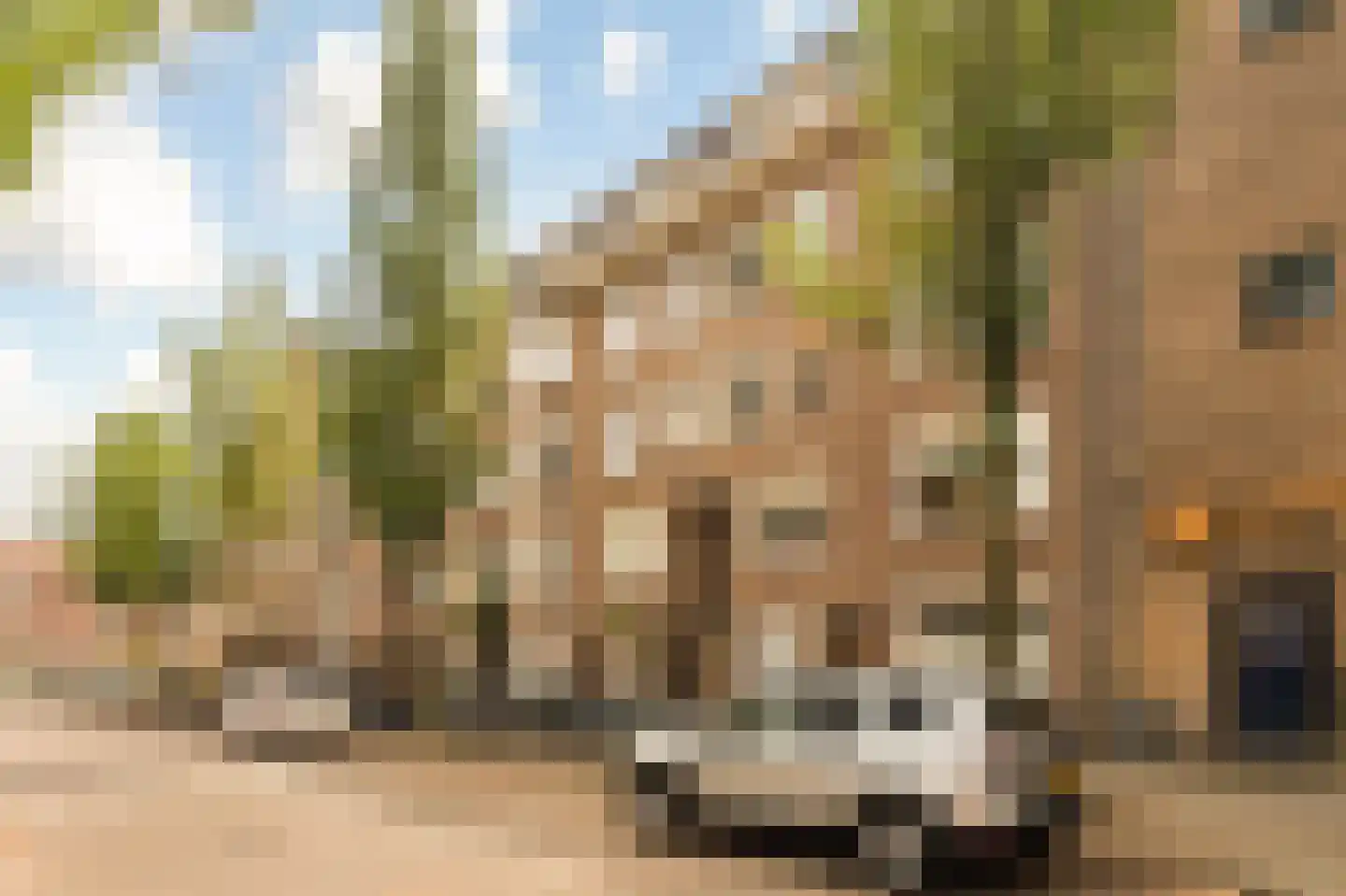 Geulstraat 7 A 3 Amsterdam thumbnail 43