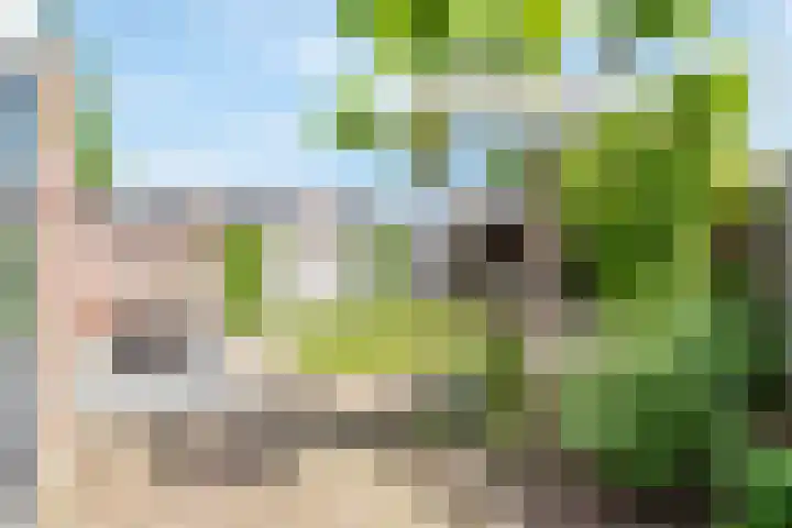 Geulstraat 8 Ulft thumbnail 36
