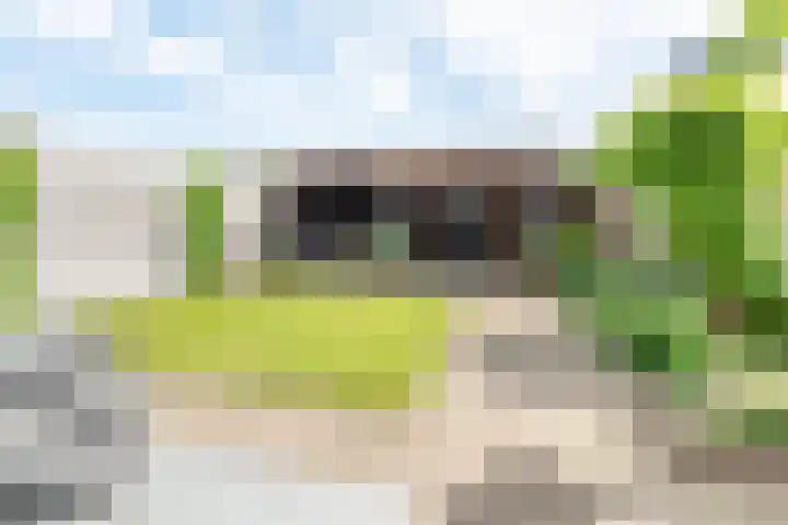 Geulstraat 8 Ulft thumbnail 4