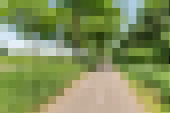 Geulstraat 8 Ulft thumbnail 42