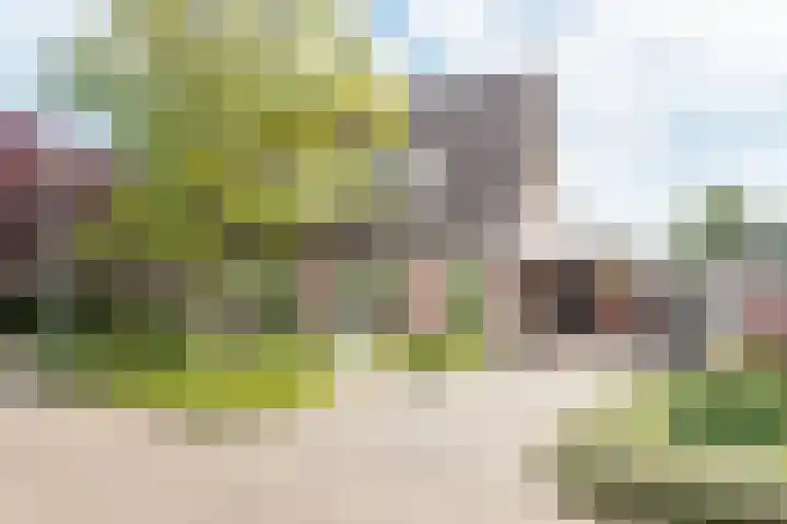 Geulstraat 8 Ulft thumbnail 47