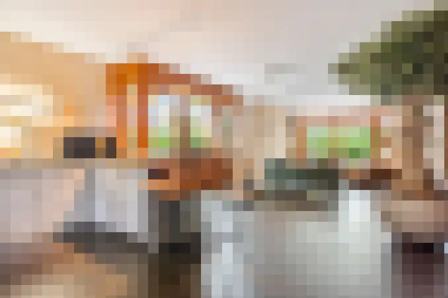 Geulstroom 11 Zoetermeer thumbnail 25