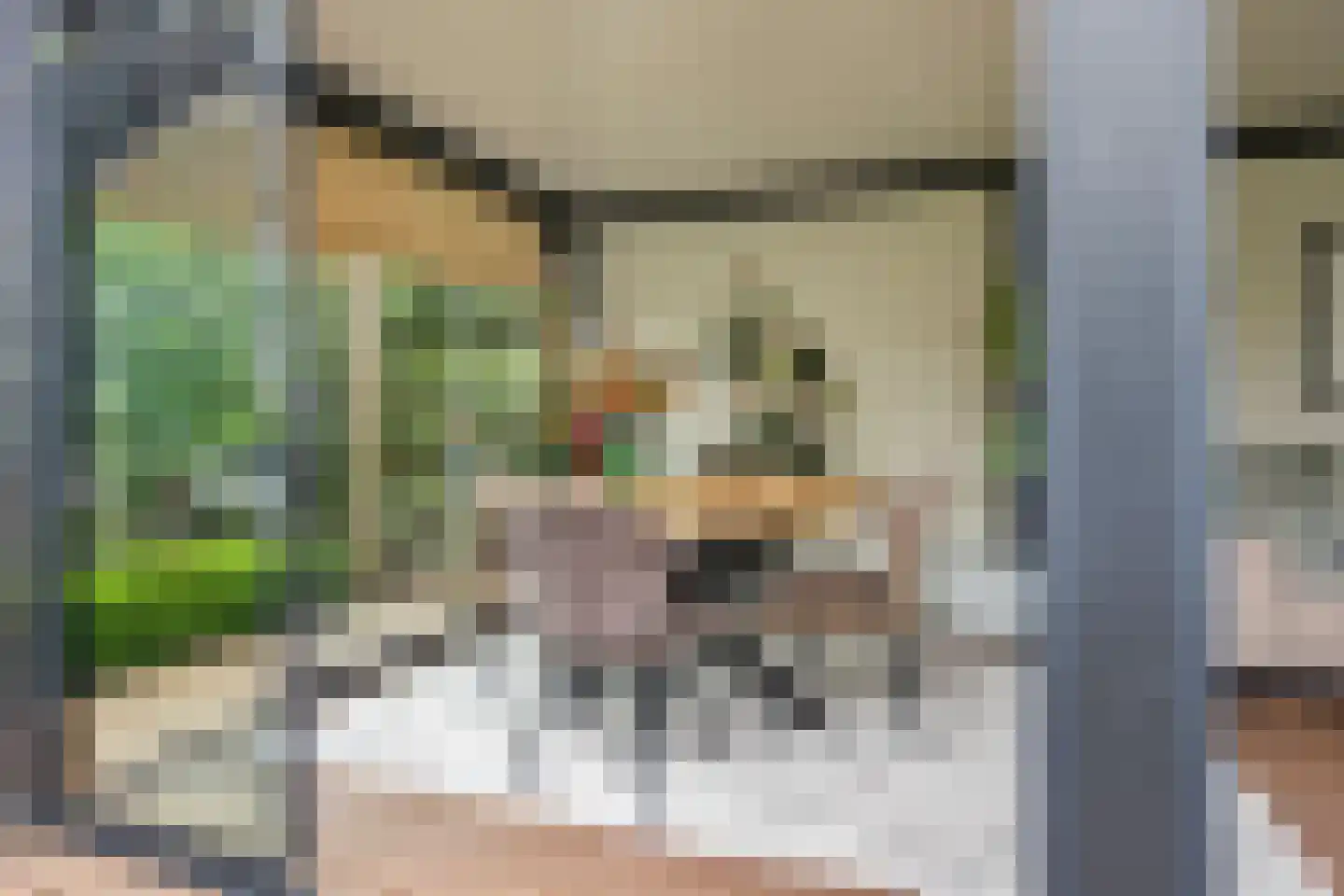 Geulstroom 11 Zoetermeer thumbnail 63