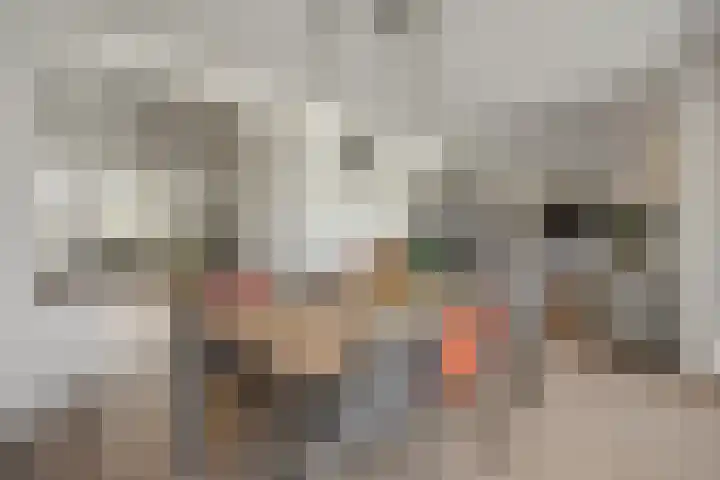 Geulweg 10 's-Hertogenbosch thumbnail 17