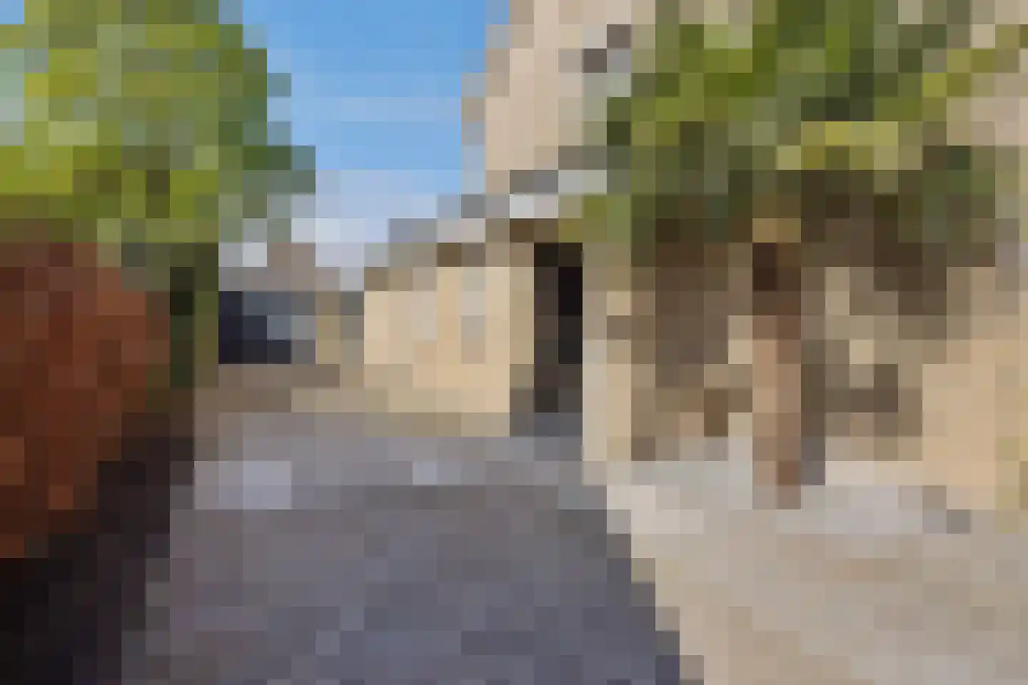 Geulweg 10 's-Hertogenbosch thumbnail 37