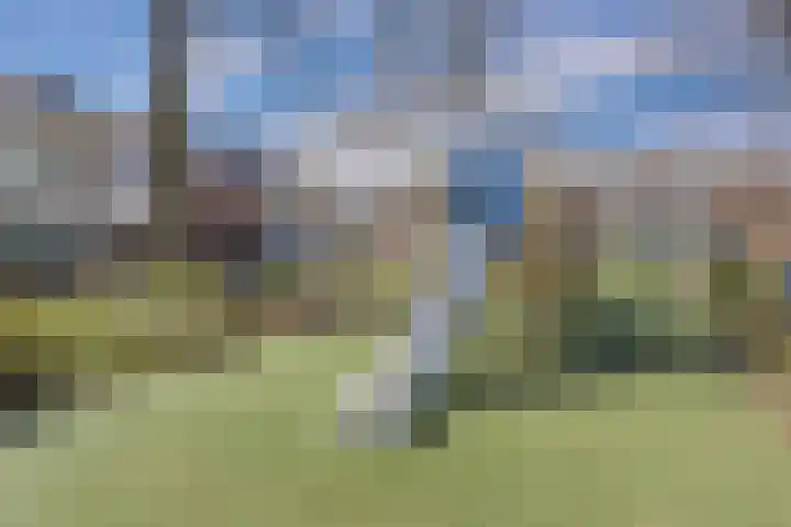 Geulweg 10 's-Hertogenbosch thumbnail 40