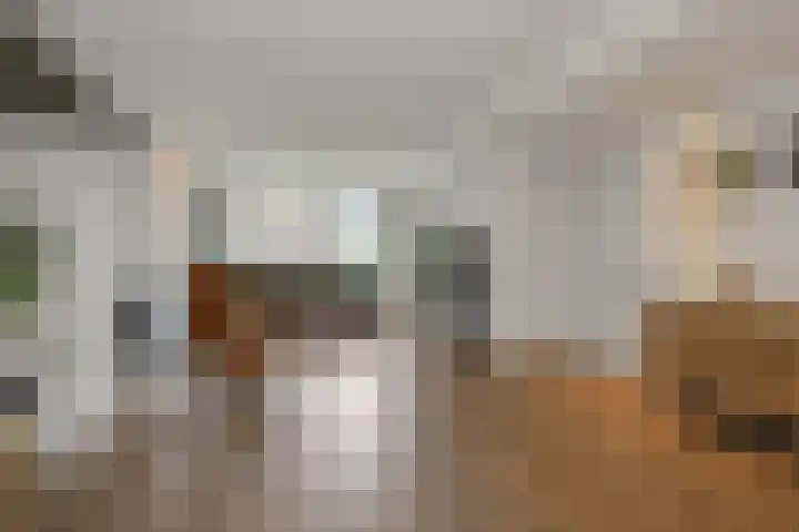 Geulweg 10 's-Hertogenbosch thumbnail 7