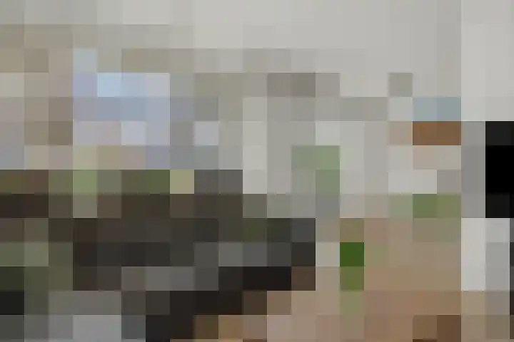 Geulweg 10 's-Hertogenbosch thumbnail 9