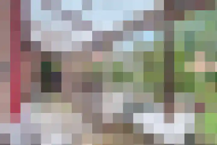 Geulwijk 13 Leusden thumbnail 32